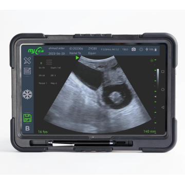 Fast Scan C ultrasound machine for veterinary