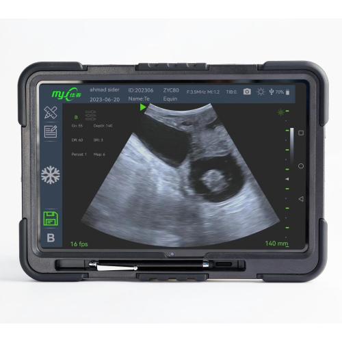Fast Scan C ultrasound machine for veterinary