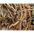 Gelsemium Elegans Extract: Nature's Remedy for Relaxation and Calm