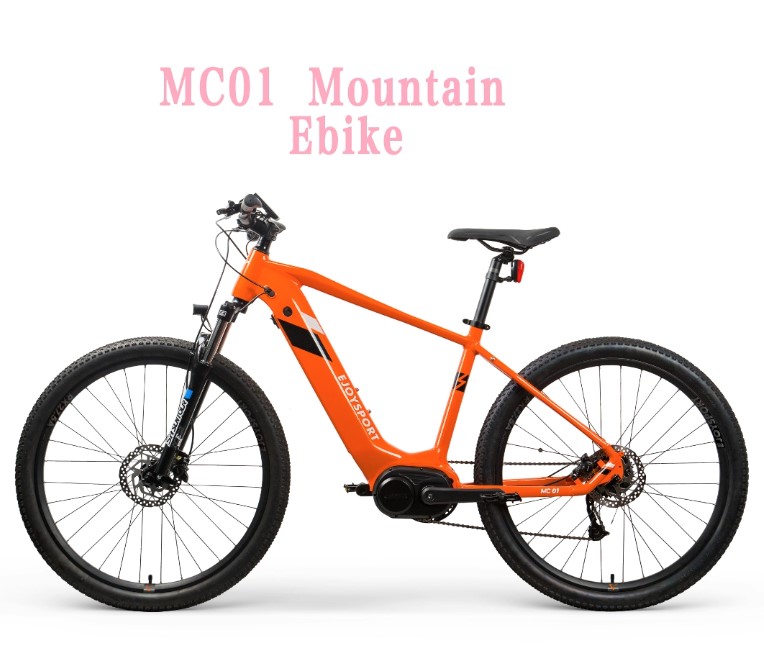 E Fahrrad All Mountain MC01