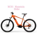 E Fahrrad All Mountain MC01