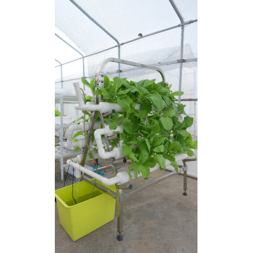 Skyplant Vertical home hydroponics grow kit