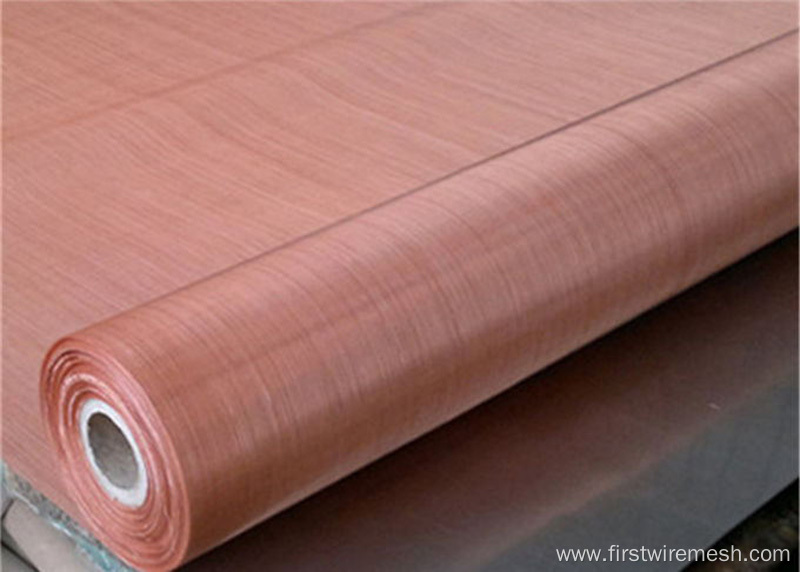 phosphor copper wire mesh