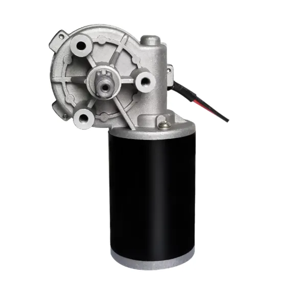 Maintex 24V 10W 6rpm Gear Motor For Rotisserie