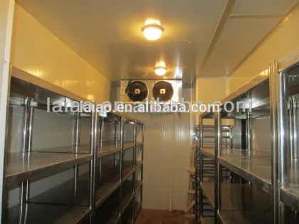 small deep freezer poultry freezer