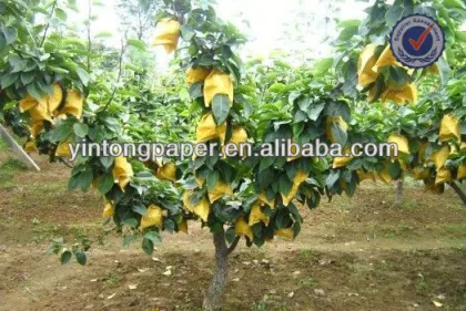 Water Proof Loquat Protection Paper bag