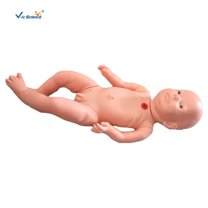 Tracheostomy Care Infant Model