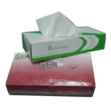 Facial tissue, virgin wood pulp, 2-ply, 200x190mm per sheet, 100 sheets per box