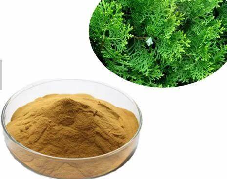 Platycypress leaf extract powder