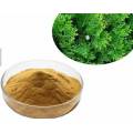 Platycypress leaf extract powder