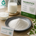 Ingrediente probiótico Lactobacillus Johnsonii