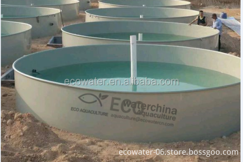 Large PP Plastic Fish Tank System for Farm Recirculating Aquaculture: Supplier and Details