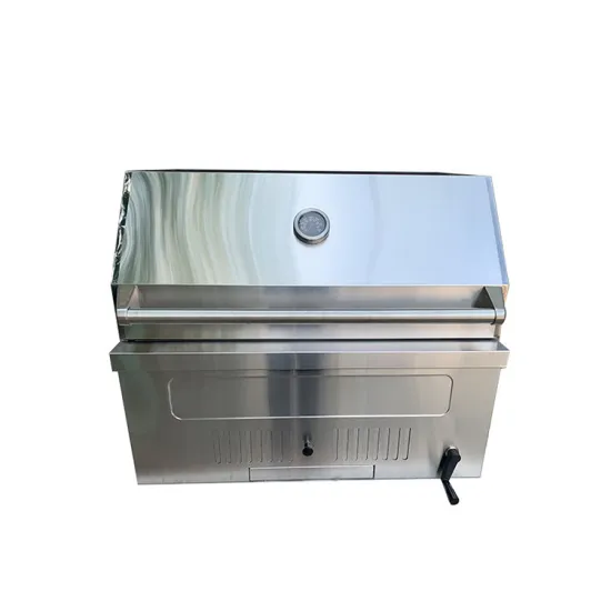 Suitable For Backyard Garden High Temperature Powder Coating Grill Mini Gas Built-in Bbq Grill