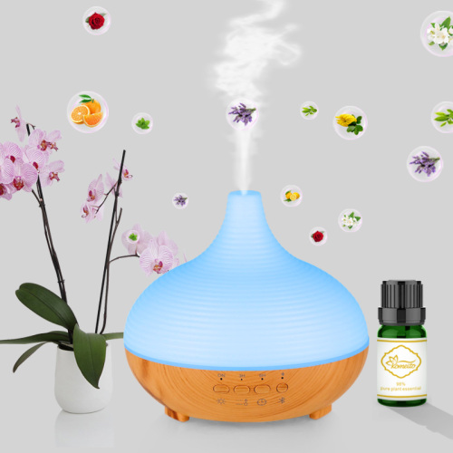 New Cute Essential Oil Diffuser with Bluetooth Speaker