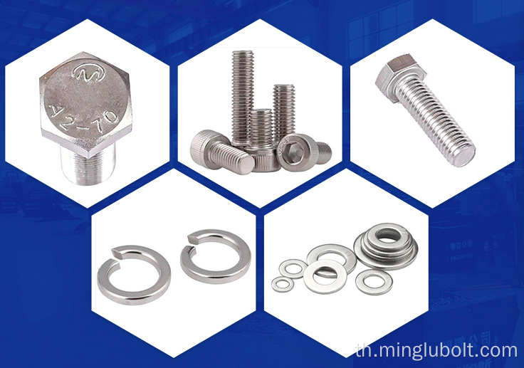 สแตนเลสสตีล A2 A4 Bolt Nut Fastener