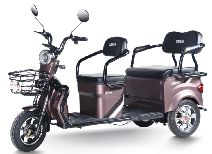H5 (Leisure Electric Tricycle)
