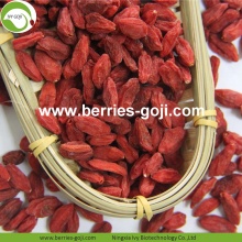 Pembungkusan Kilang Pembungkusan Buah Jenis Herba Goji Berries