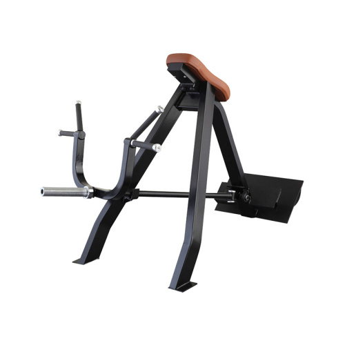 T ARM Machine Incline Lever Row