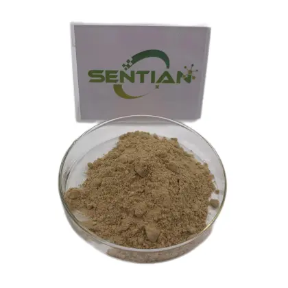 Female Health Care Material Motherwort Extract Powder 10:1