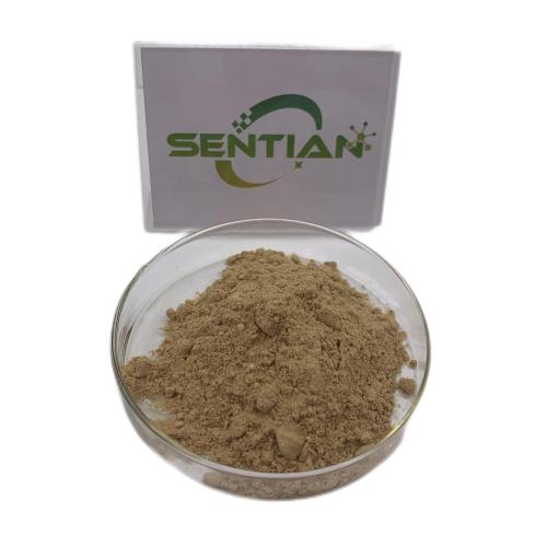 Bacopin root extract Morinda officinalis extract