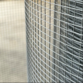 1/4"-2" Electro hot-dipped galvanized welded wire mesh