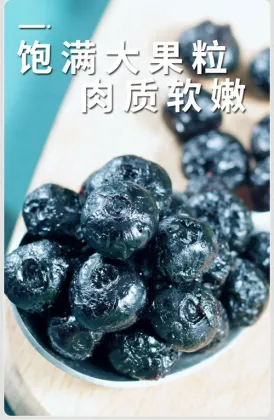 Sour sweet and dried blueberries