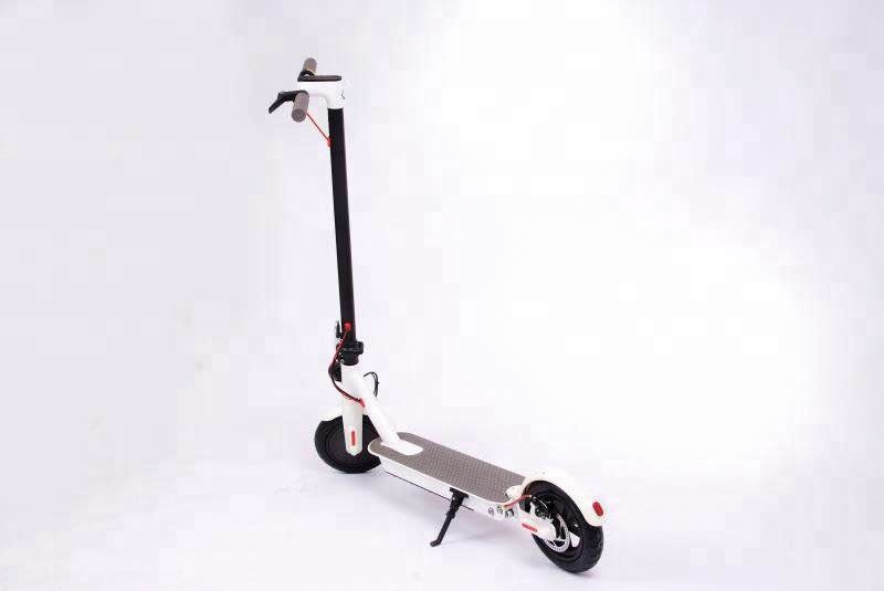 Skate board Scooter Electric