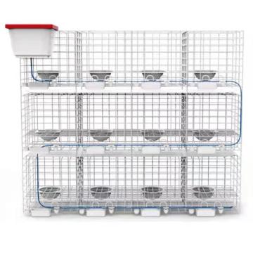 Automatic Water System for Poultry Cages: Galvanized Wire Poultry Farm Equipment