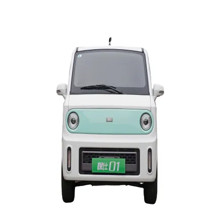 Factory-Direct Electric Vans: Comfortable Mini Passenger Vans