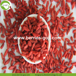 Approvisionnement en usine Fruits sains 220 280 Goji Berry