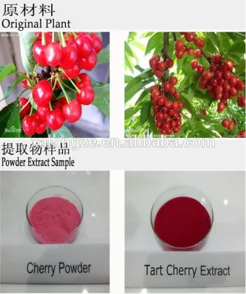 Best price cherry powder