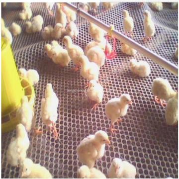 Stretched Hexangular Poultry Netting