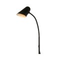 Black LED beautiful floor lamp