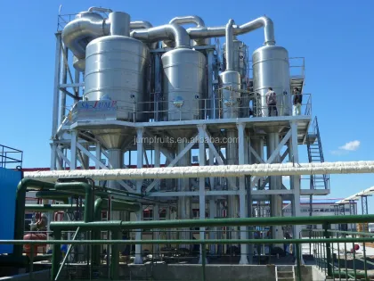 Carrot puree production line