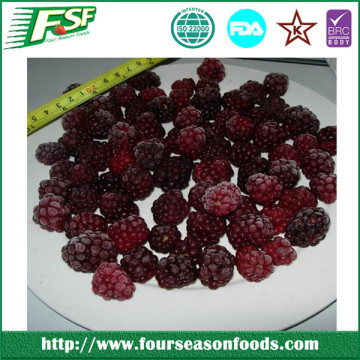 High Quality iqf frozen blackberries