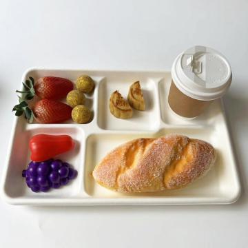 Bagasse 5 compartment rectangular tray