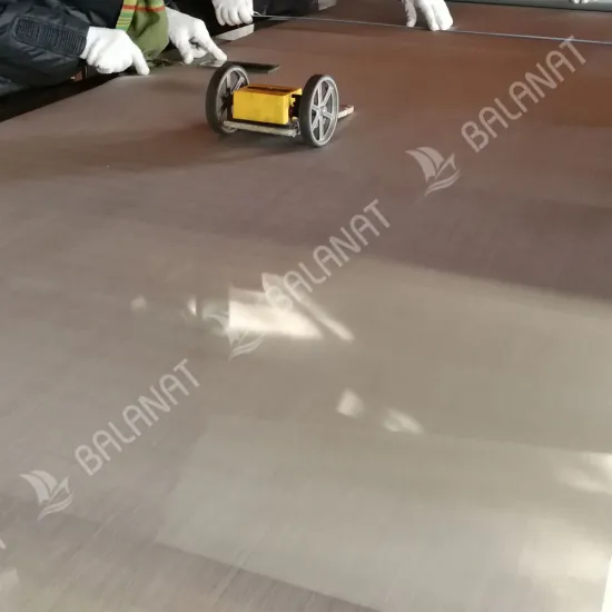 Stainless Steel Wire Mesh Plain Weave 65 Mesh