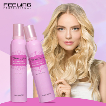 OEM ODM 280ML Hydrolyzed Wheat Protein Hair Foam Mousse