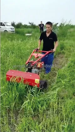 Mini Combine Harvester for Grains: Oats, Rice, Soybeans, Chili, Wheat, Highland Barley - Best Price