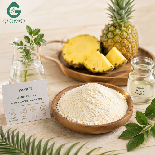 Proveedor a granel de polvo de enzima de bromelina natural