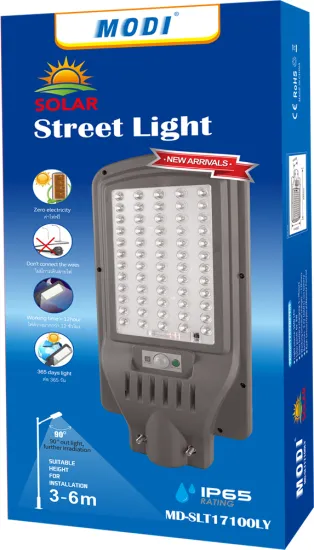 100W the most popular solar light