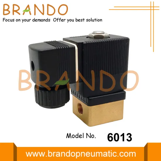 6013 A Burkert Type Brass Solenoid Valve