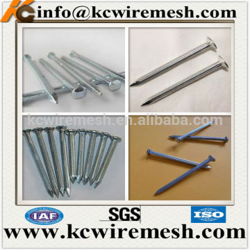 Grooved Galvanized Concrete Steel Nails For Construction.
