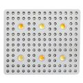 Cree COB Led Grow Light 3000W