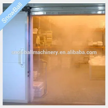 Air Blast Freezer Building Cold Storage Room
