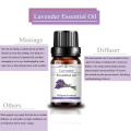 Wholesale Organic Body Massage Lavender Essential Oil