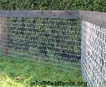 V-Mesh Horse Fencing