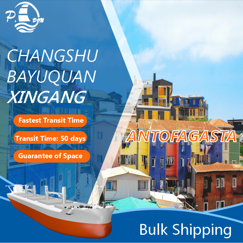 Bulk Shipping From Tianjin To Antofagrasta