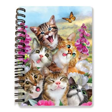 CUADERNO CAT 3D 1-0