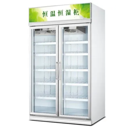 China Factory Display: Red Bull Can, Vodka Bottle, and Ice Cooler for Energy Drinks and Alcohols